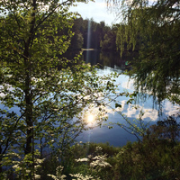 brainLight-Zusatzkarten für Komplett-Systeme mit Sesselsteuerung - Zitate - mit Massagefunktion